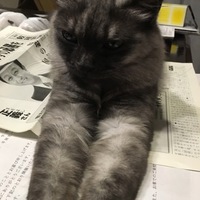 むぅ