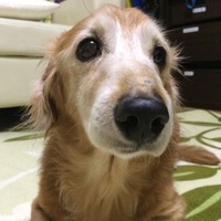 アッシュ