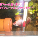 優しいご家族が決まりました～！