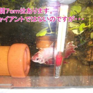 優しいご家族が決まりました～！