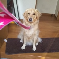 「膀胱炎、治りました!」サムネイル2