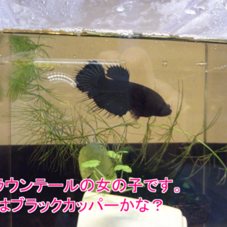 優しいご家族が決まりました～！