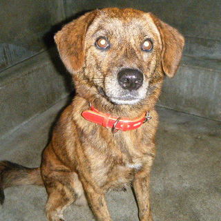 可愛いお目目の男の子♪