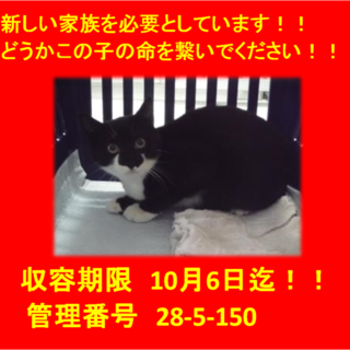 2匹でお迎え本当にありがとうございました(^^♪