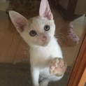 ママをお探し❤︎