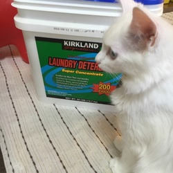 「♡嬉しい出会い♡」サムネイル2