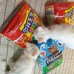 「♡嬉しい出会い♡」サムネイル3