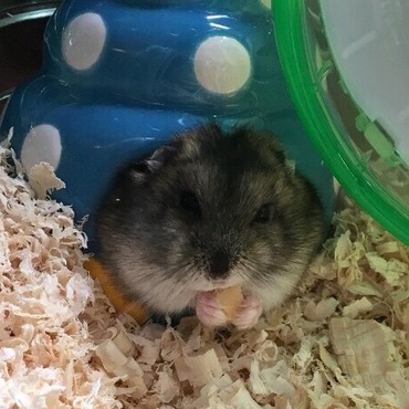 の写真