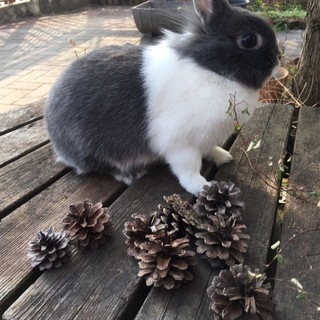 ありがとうございました