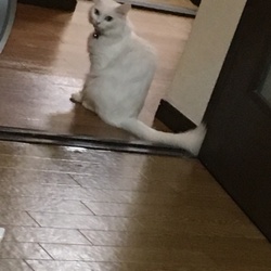 「マリーちゃんが…‼︎‼︎」サムネイル1