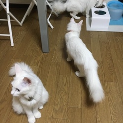 「マリーちゃんが…‼︎‼︎」サムネイル2