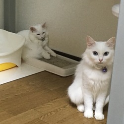 「マリーちゃんが…‼︎‼︎」サムネイル3