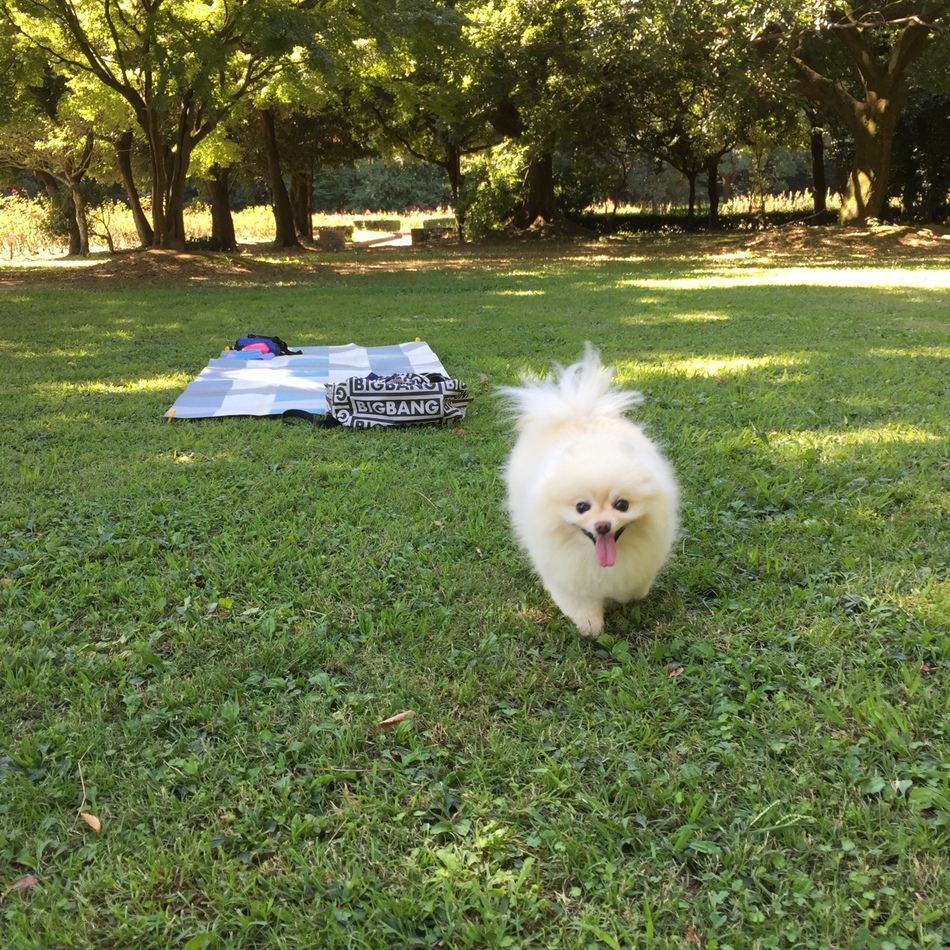 deenのカバー写真