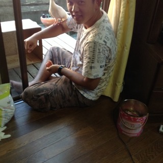 真っ白い鳩の里親を募集しています。