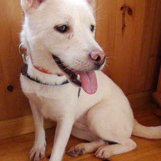 とても慎重な女の子、紬です。