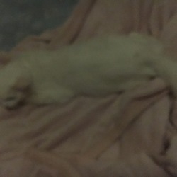 「マリーちゃん♡」サムネイル1