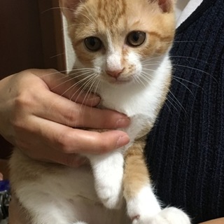 新しい里親さん決まりました♪