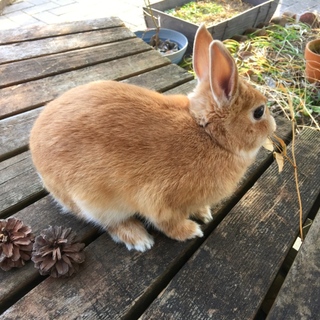 ありがとうございました