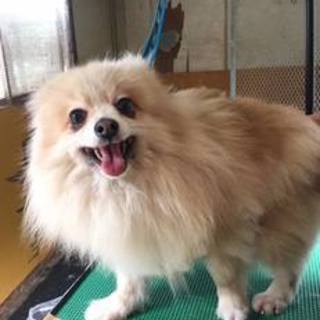 恥ずかしがり屋なんです☆ハッピーくん