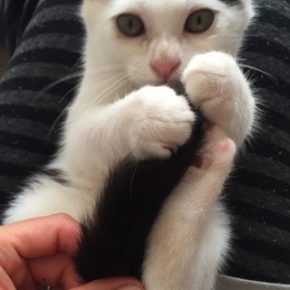 この冬あなたを抱きしめる