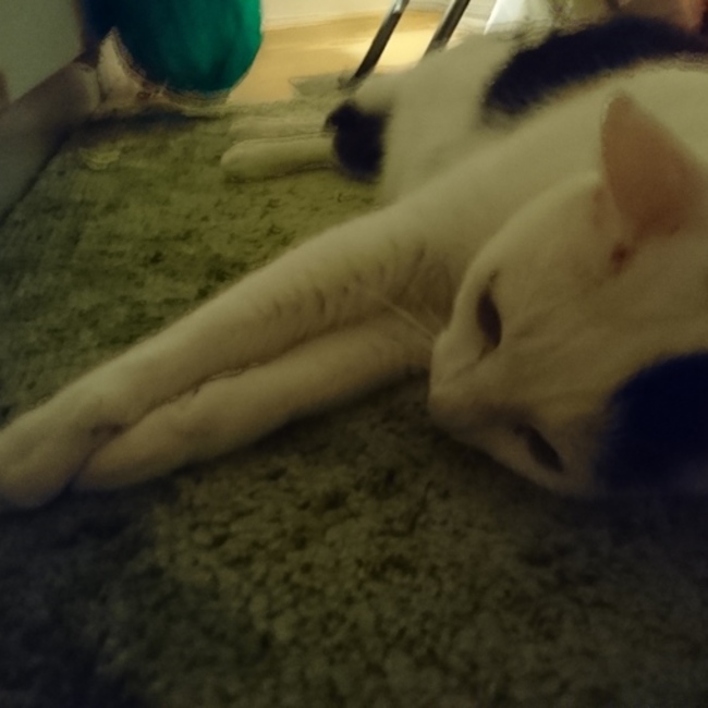 えみちょぼのカバー写真