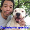 動物愛護団体Dog Res...(保護活動者)