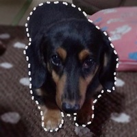 ベル