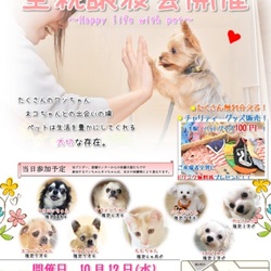 ペットと暮らそう 里親譲渡会