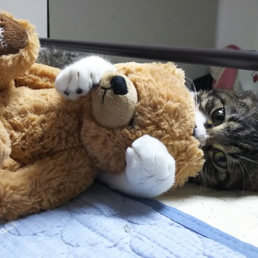 自分の魅力わかってます(＾ω＾)♥