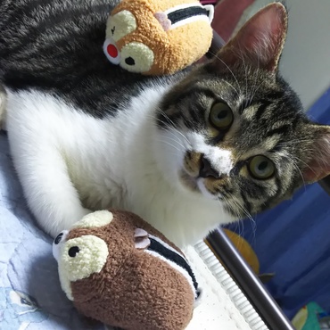 されるがまま、つむつむ。