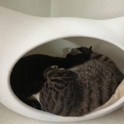 「こんばんは！」サムネイル2