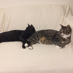 「こんばんは！」サムネイル3