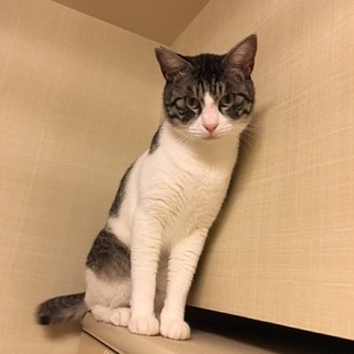 ありがとうございます。おうち、決まりました！