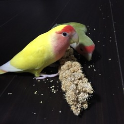 なんで