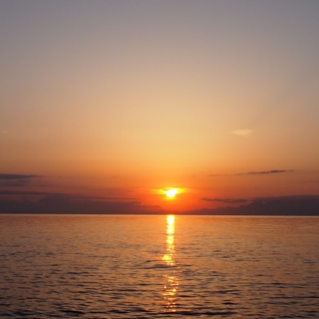 madu1854のカバー写真