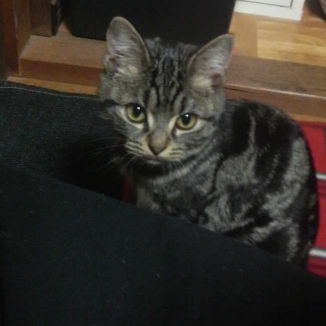 ここくるみいろはのカバー写真