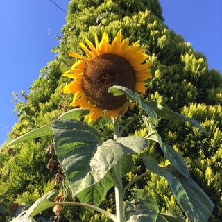 ご応募ありがとうございました！