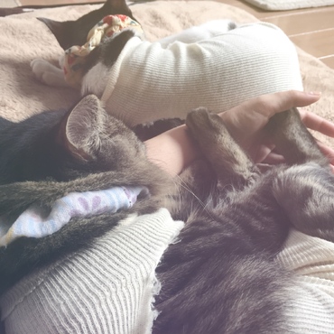 仲良くすやすやZzz