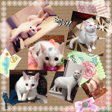 の写真