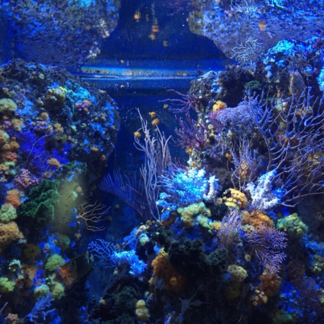 あきうぱのカバー写真