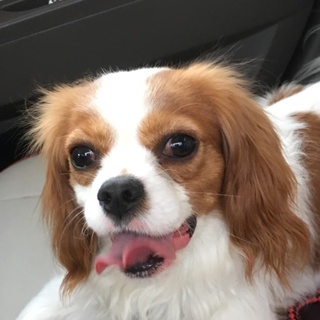 期間限定もしくは近場で探してます。