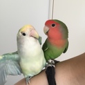 1度お問い合わせを締め切らせていただきます！