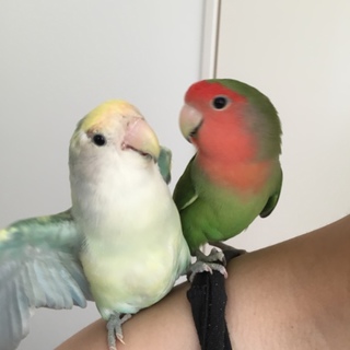 1度お問い合わせを締め切らせていただきます！