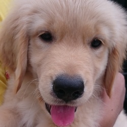 はじめましてーー！