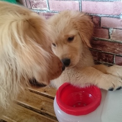 「はじめましてーー！」サムネイル2