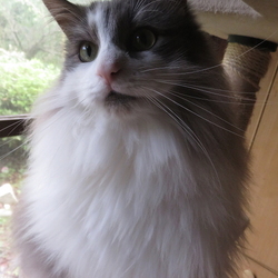 (*^ー^*)えへへ♪