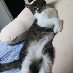 「お久しぶりです！」サムネイル2