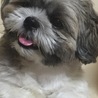 トト三郎