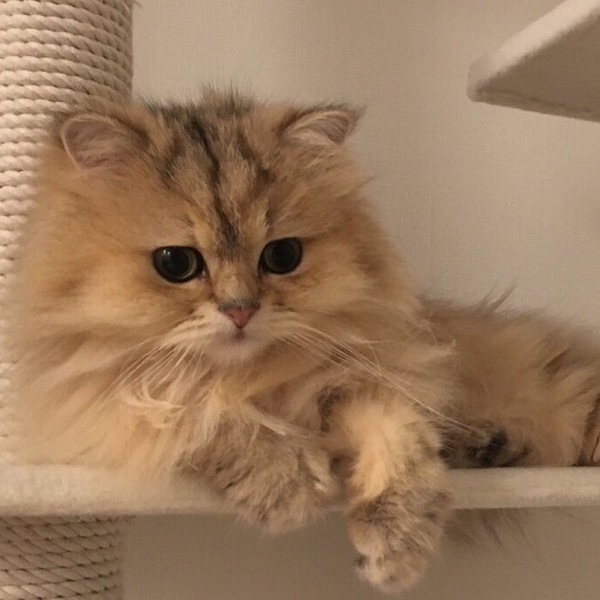 Schrödinger