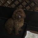 ありがとうございました！